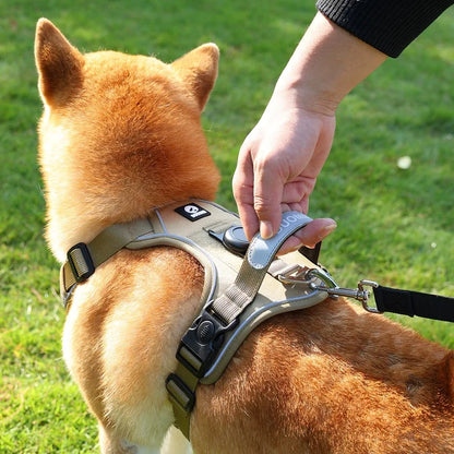 TrackSafe Harness & Lead Set with AirTag Holder