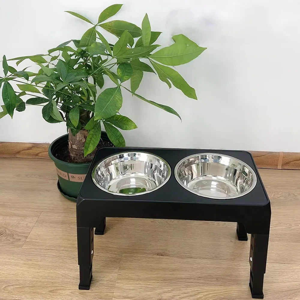 RaiseDine Elevated Dog Bowls