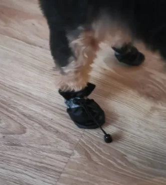 PawGuard Waterproof Dog Boots