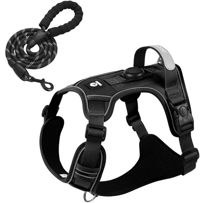 TrackSafe Harness & Lead Set with AirTag Holder