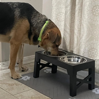 RaiseDine Elevated Dog Bowls