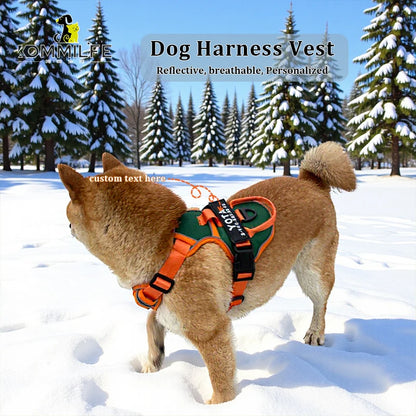 NightGuard Reflective Padded Vest Harness