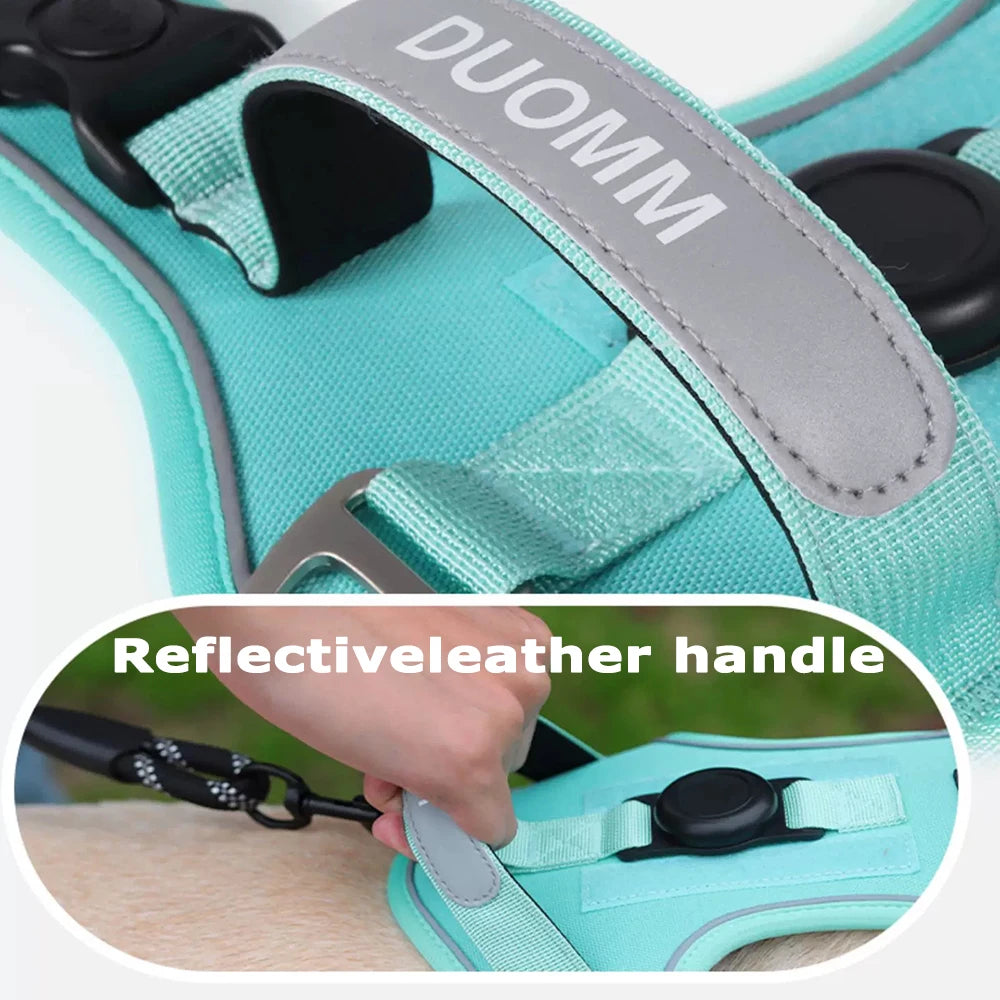 TrackSafe Harness & Lead Set with AirTag Holder