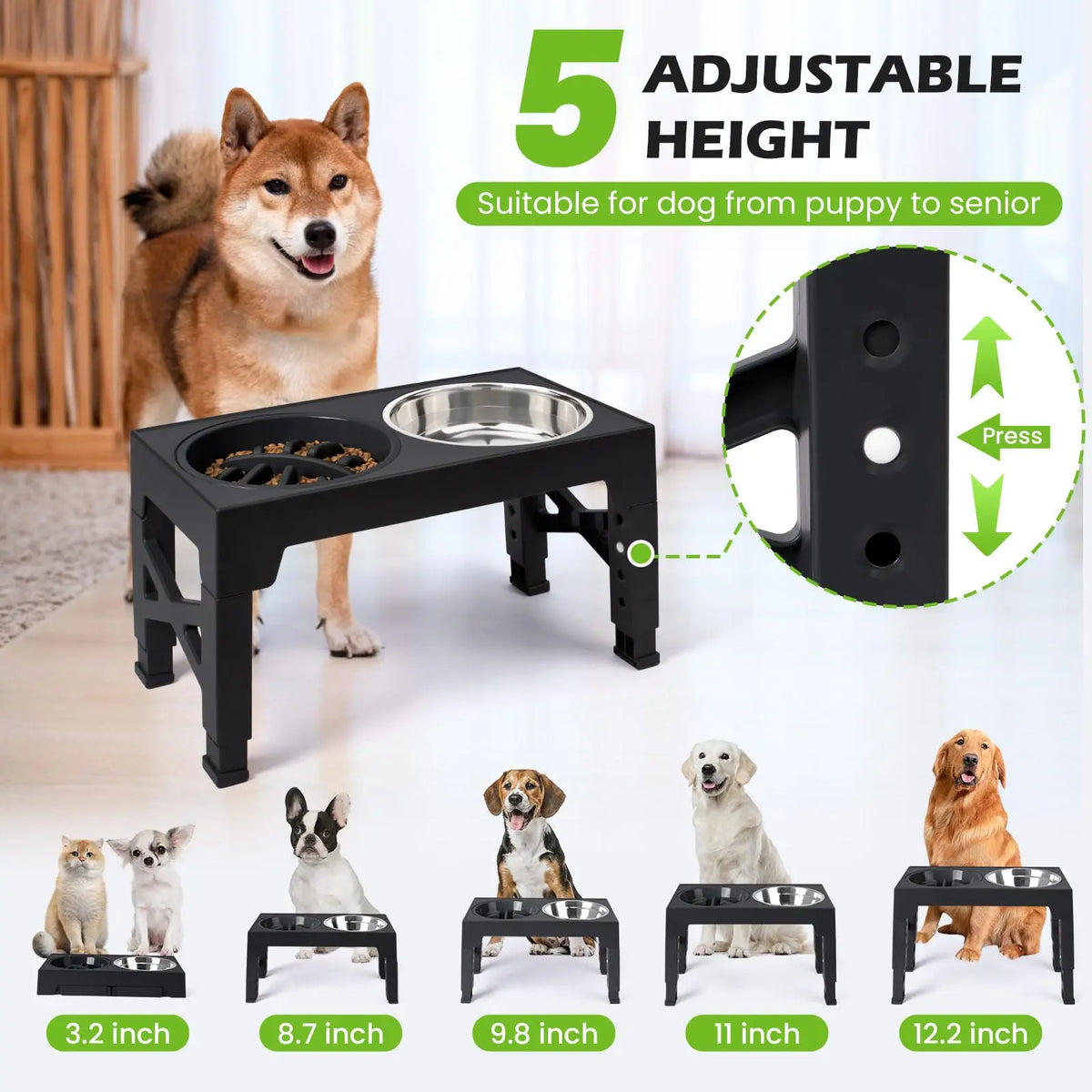 RaiseDine Elevated Dog Bowls
