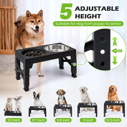 RaiseDine Elevated Dog Bowls