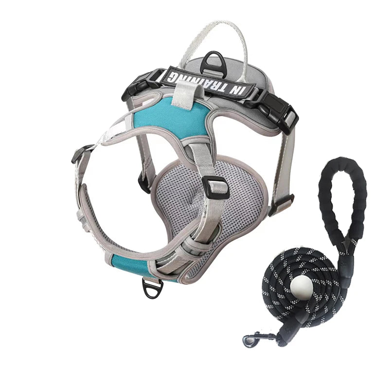 NightGuard Reflective Padded Vest Harness