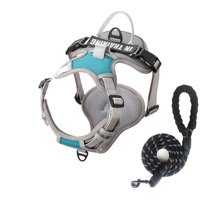 NightGuard Reflective Padded Vest Harness