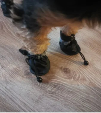 PawGuard Waterproof Dog Boots