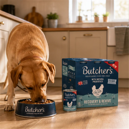 Butcher's Recovery Dog Food